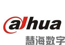 大华